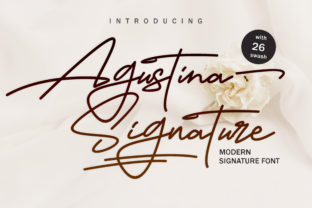 Agustina Signature: A Romantic Script Handwritten Font for Branding
