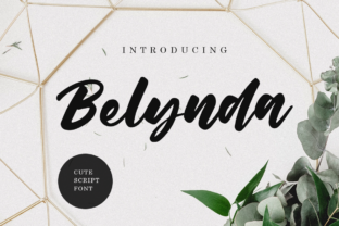 Belynda Script Font for Modern Web Design