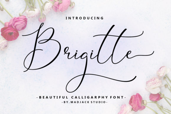 Brigitte: The Script Handwritten Font for Campaign Visuals