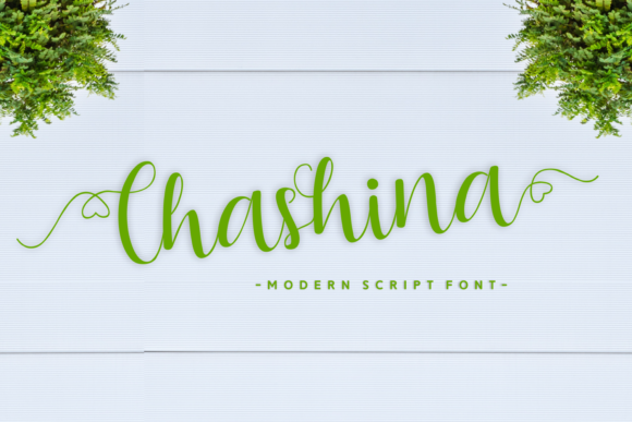 Chashina Handwritten Font Review for Modern Web Design
