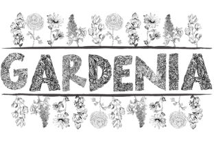 Gardenia LF: A Hand-Drawn Floral Typeface for Editorial Design