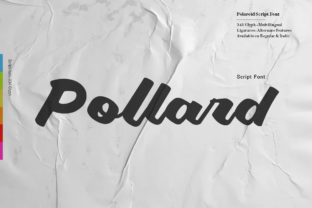Pollard Script: A Modern Typeface for Digital Branding
